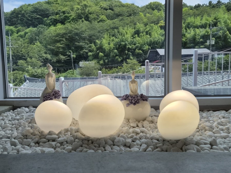 쏠레이 사진 5