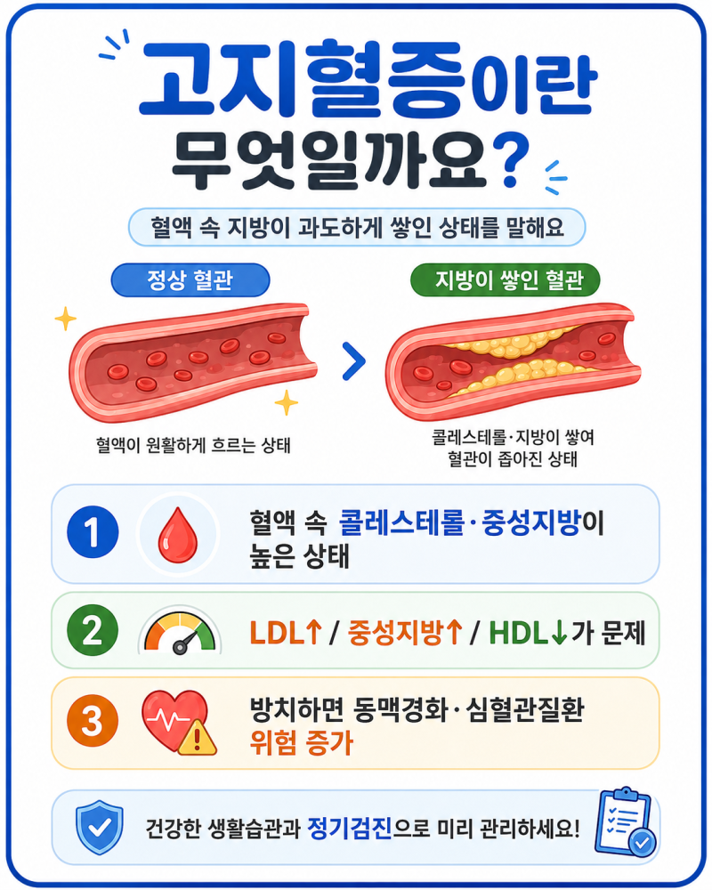 고지혈증 증상 및 원인, 정상 수치, 좋은 음식 및 식단, 치료 약 총정리