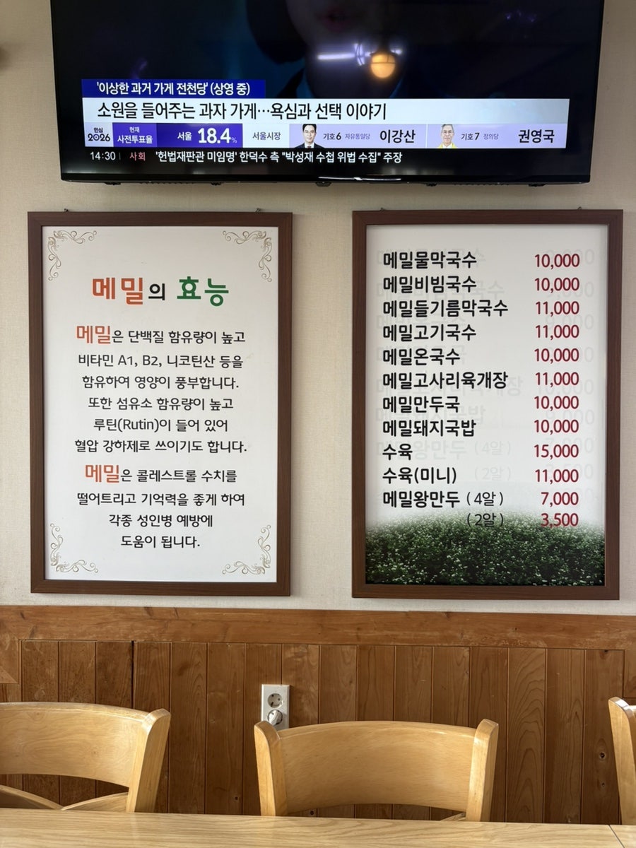 메밀꽃제주 사진 3