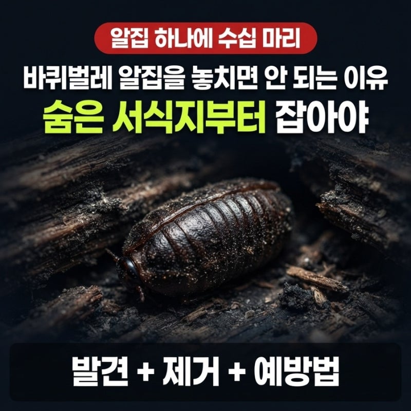 "알집 하나에 수십 마리라고?" 바퀴벌레 알집을 놓치면 안 되는 이유