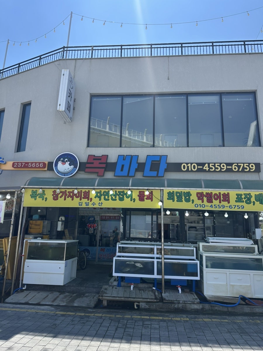 복바다 사진 1