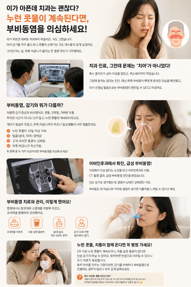 이가아파 치과 갔는데 이비인후과로? 부비동염