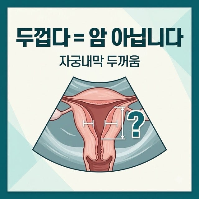 자궁내막 두꺼움, 폐경 전이면 숫자보다 시점입니다