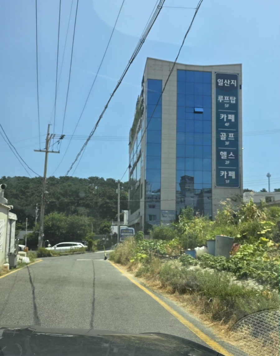 카페일산지 사진 2