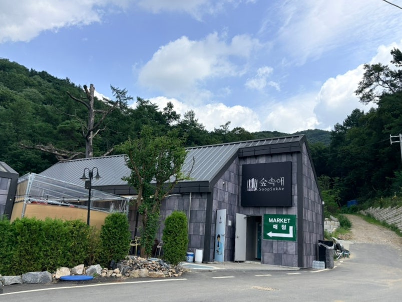 숲속애 사진 5