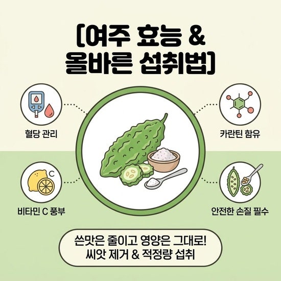 여주 효능과 핵심 성분, 올바르게 먹는법 총정리