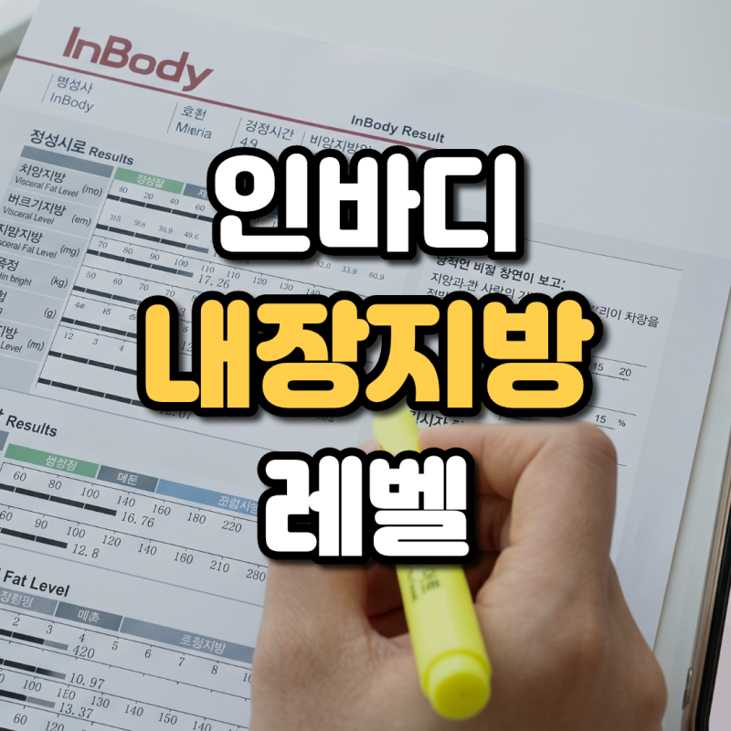인바디 내장지방 레벨 기준 점수와 여자 평균 수치 알아보기