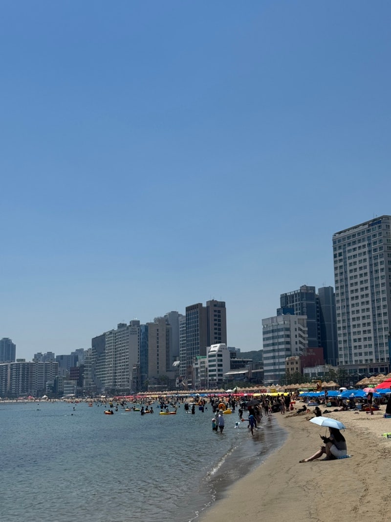 돌고 돌아 종착지는 결국 운학