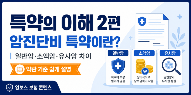 암진단비란? 일반암·소액암·유사암 차이