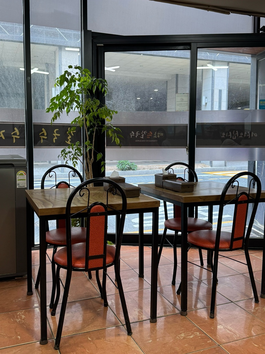 땡초손칼국수 사진 3