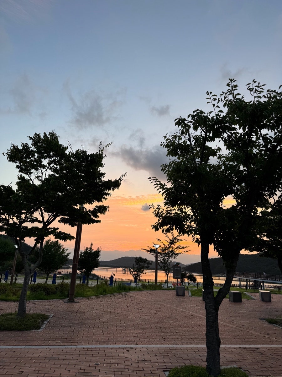 아보르떼 사진 3