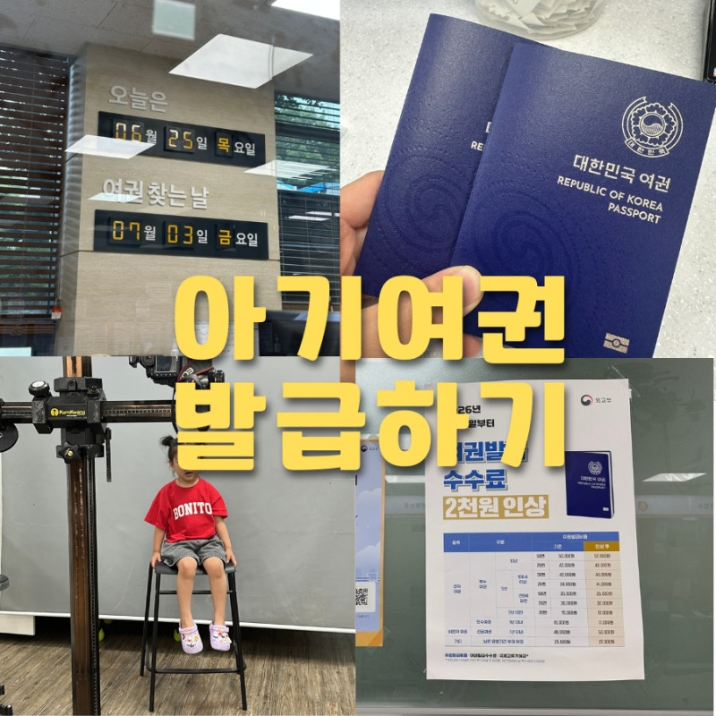 아기 여권 발급 준비물 사진 규격부터 기간 신청 방법까지 안산 시청 민원실