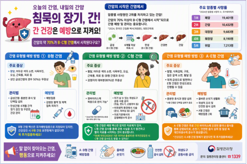 간암의 70%는 간염에서 시작! 침묵의 장기 '간' 건강 지키는 방법 총정리