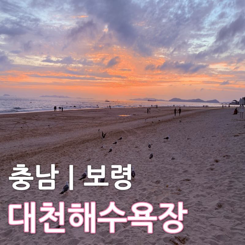 충남 보령 여행 코스 추천｜대천해수욕장 이용정보·일몰 명소 추천