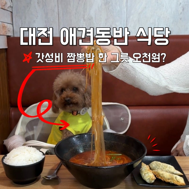 갓성비 대전 애견동반 식당 짬뽕 한 그릇 오천원?
