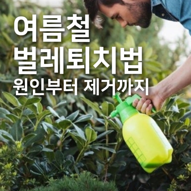 여름철 집안 날벌레 퇴치법! 원인부터 제거까지