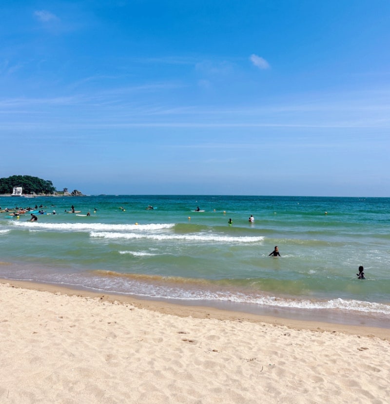 부산서핑 송정해수욕장  가격 주차장 개장정보 샤워장