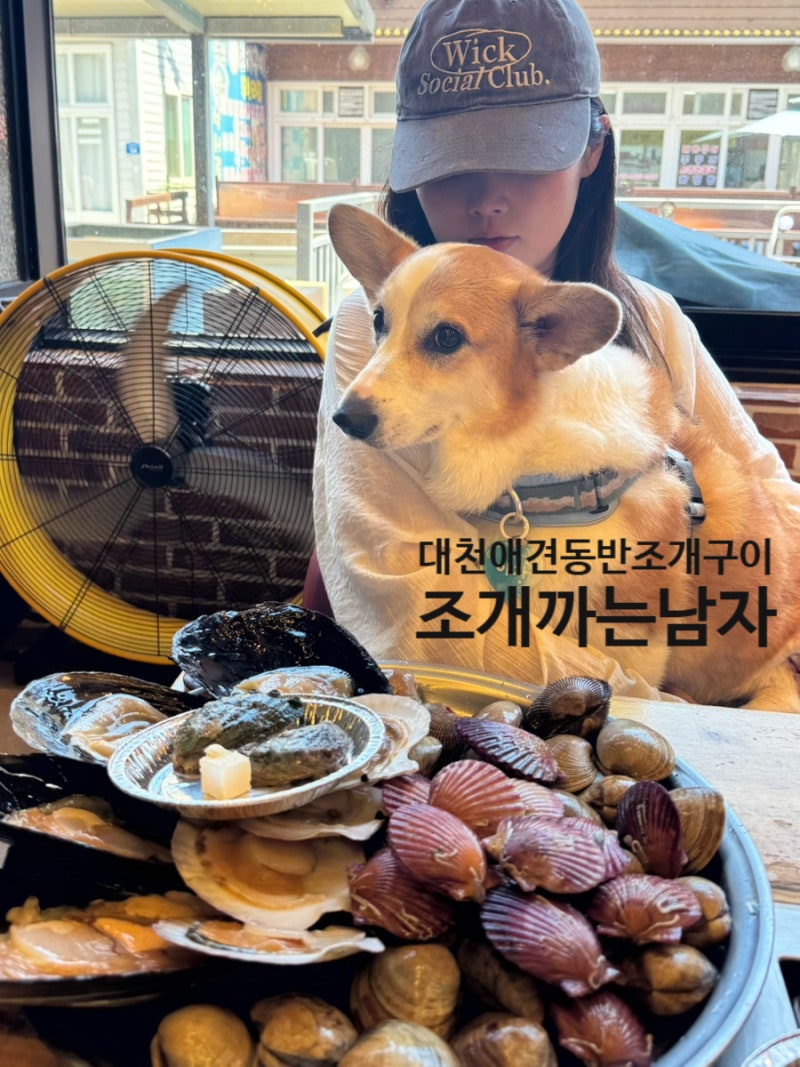 대천 맛집 대천해수욕장 애견동반 조개구이 "조개까는남자" 솔직후기