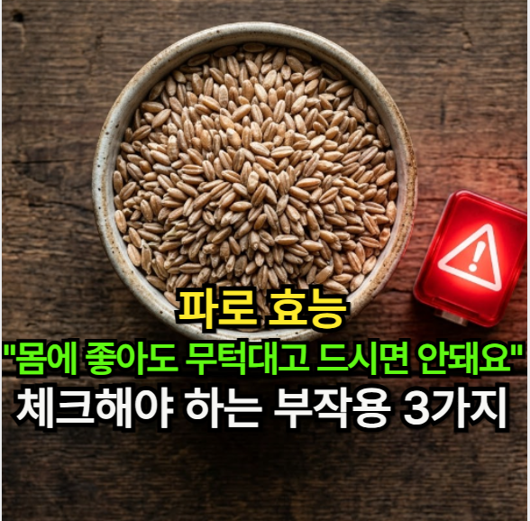 파로 효능, "몸에 좋아도 무턱대고 드시면 안 돼요" 꼭 체크해야 하는 파로 부작용 3가지