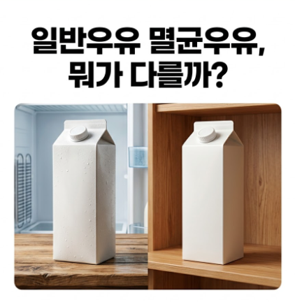 일반우유 멸균우유 차이, 영양성분부터 보관법까지 정리