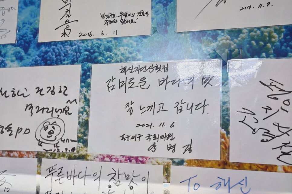 해신자연산횟집 사진 2