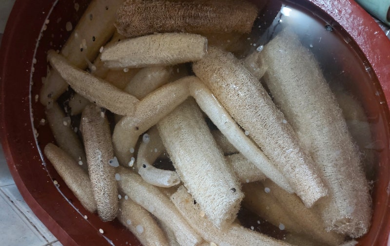 불타는 주말, 국산 천연수세미 세척 작업 기록