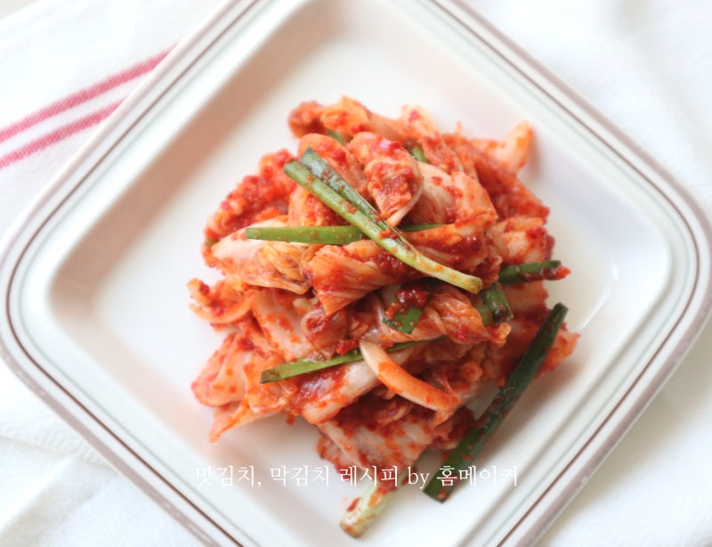 여름 배추 맛김치 맛있게 담그는 법 막김치 레시피