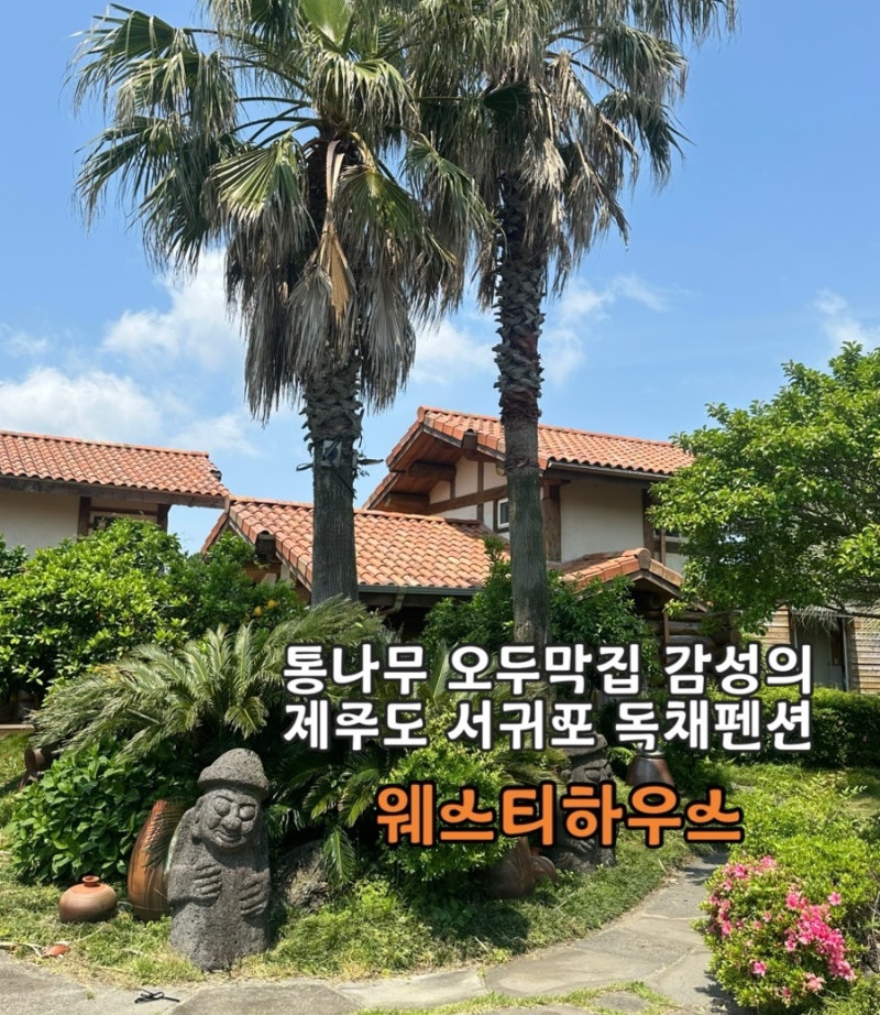 제주도 서귀포 숙소 웨스티하우스 내돈내산 추천후기 (서귀포 독채펜션)