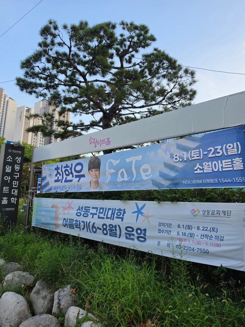 최현우 FATE 마술쇼 후기 서울 소월아트홀 공연 좌석 추천, 마술부터 최면까지