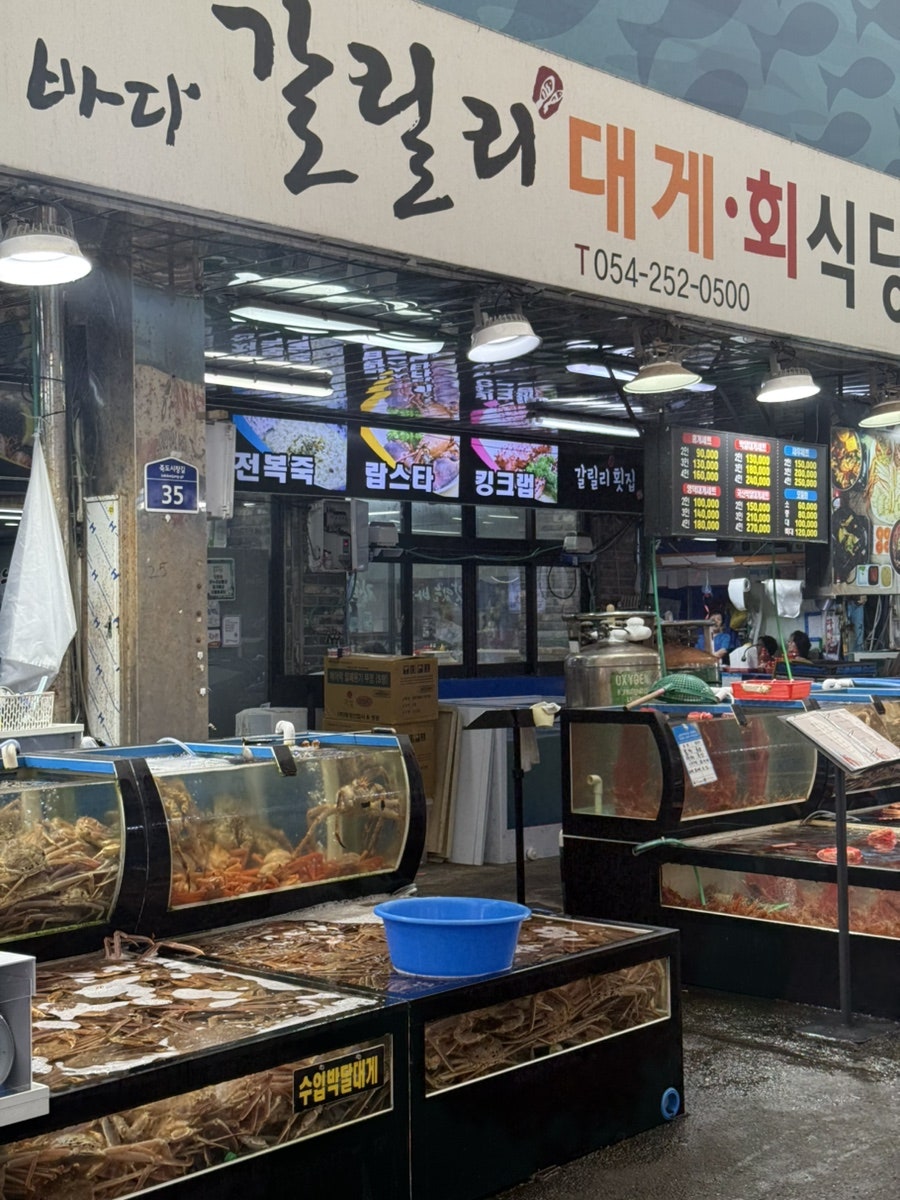 포항대게 사진 3