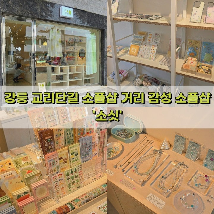 강릉 교리단길 소품샵거리 감성 소품샵 '소싯'