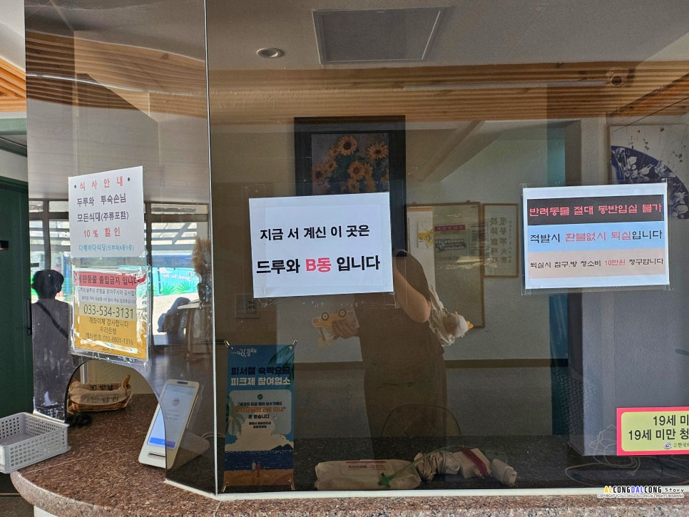 델루와 사진 4