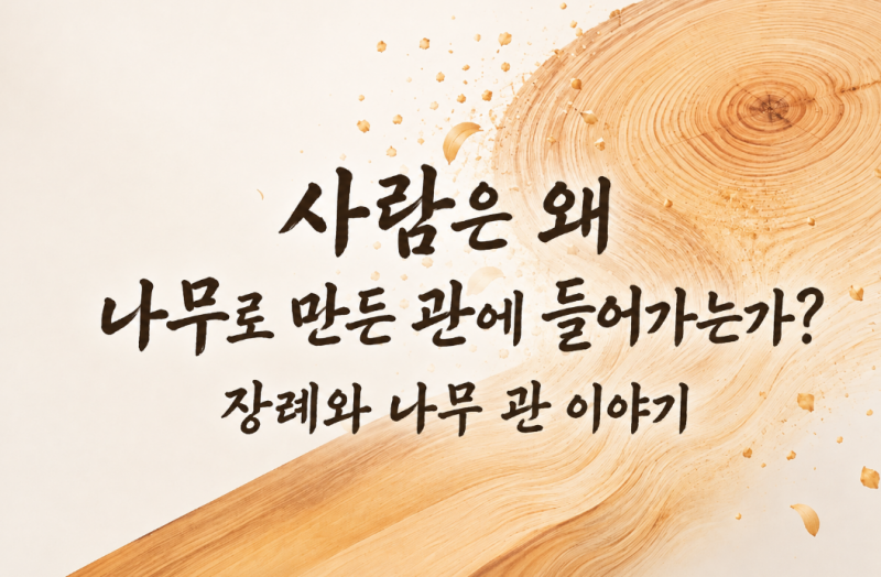 사람은 왜 나무로 만든 관에 들어가는가? 장례와 나무 관 이야기