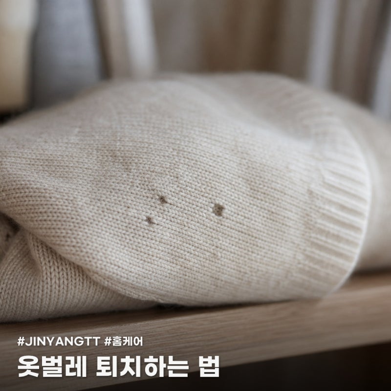 옷벌레 퇴치하기! 소중한 내 옷 지키는 법