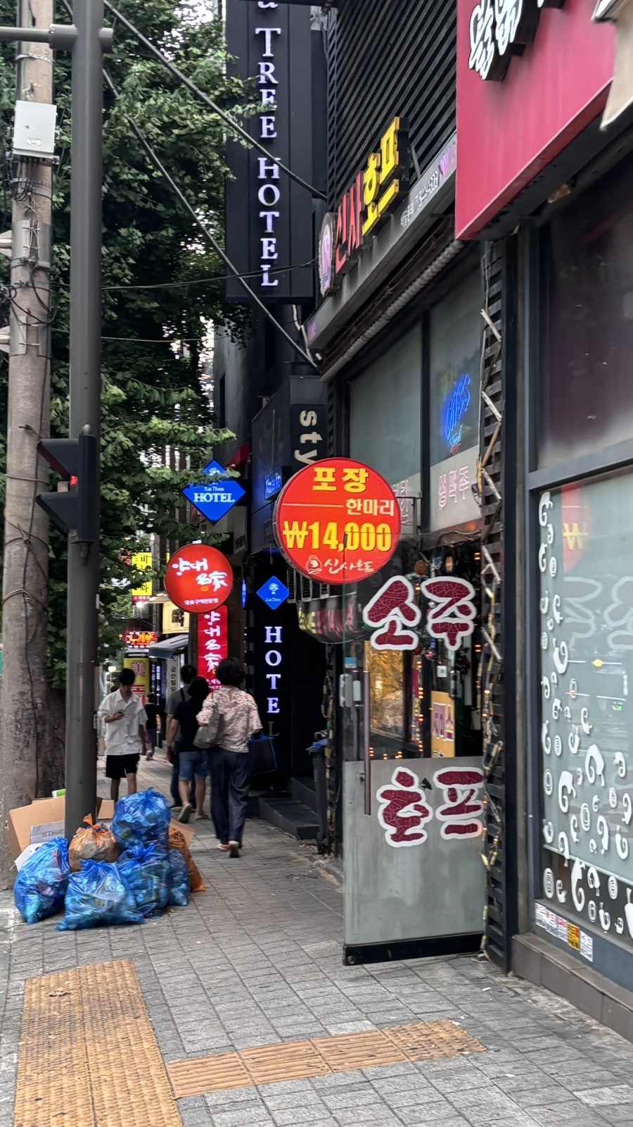 신사호프 사진 2