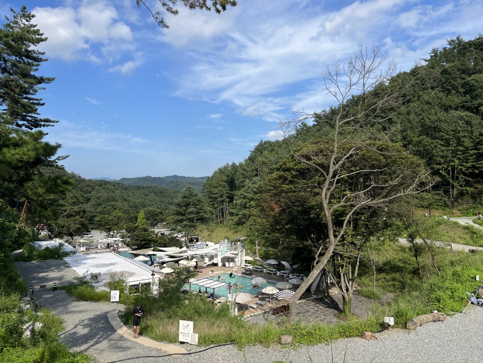 더빌리지 사진 2