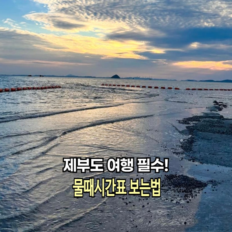 제부도 물길 물때시간표 보는법 통행 가능 시간 확인