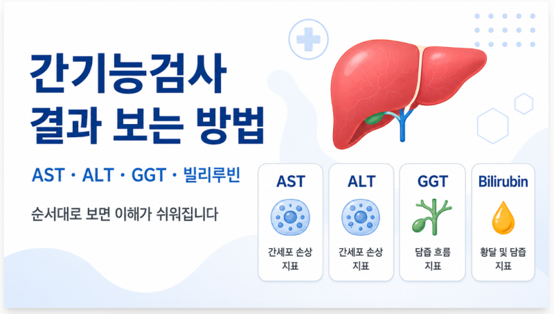간기능검사 결과 보는 방법, AST·ALT·GGT·빌리루빈 순서대로 읽기