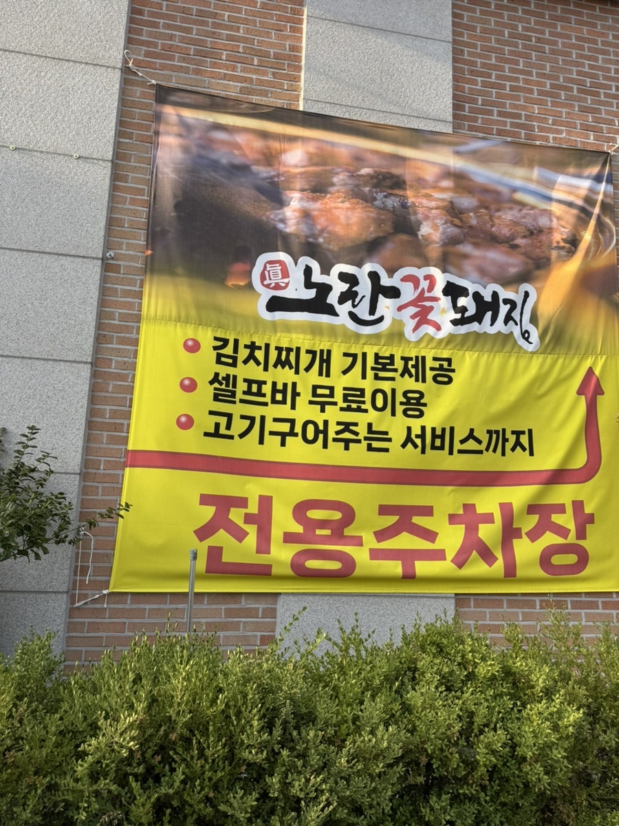 노란꽃돼지 사진 3