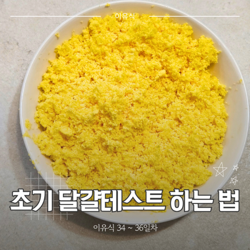 초기 이유식 달걀 테스트 방법, 계란 노른자 큐브 만들기 D+203