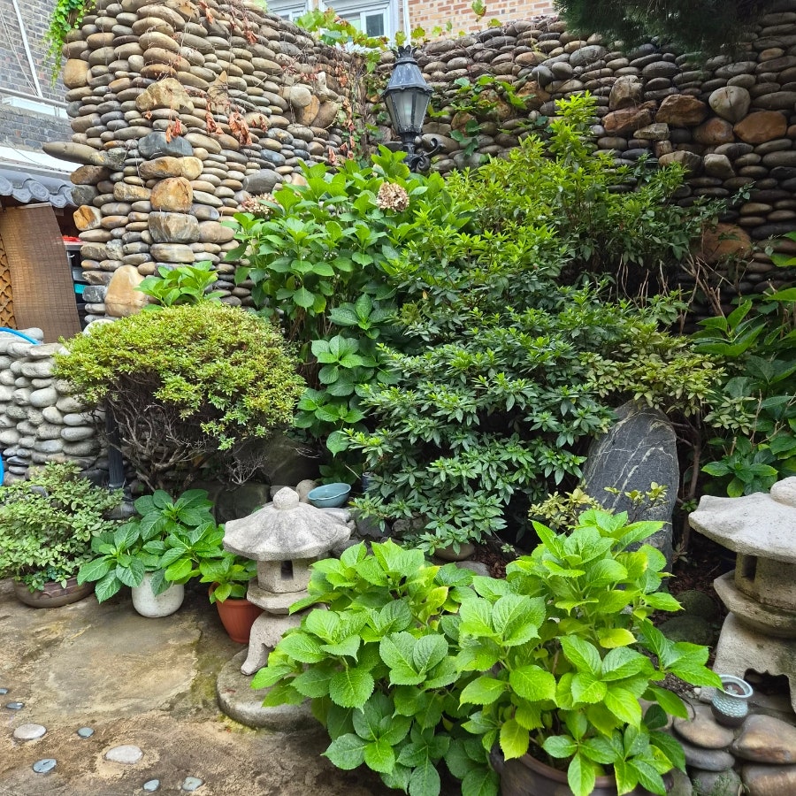 가족회관 사진 6