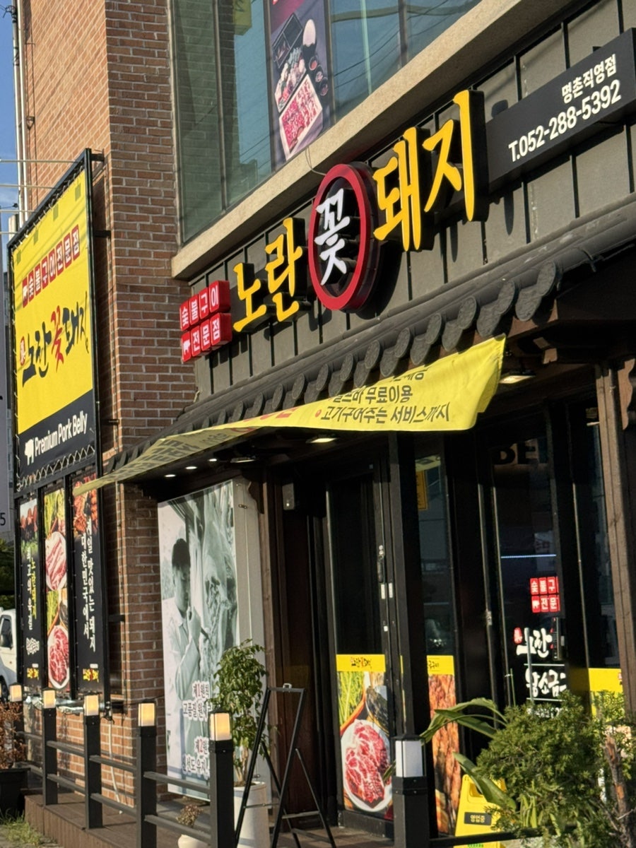 노란꽃돼지 사진 1