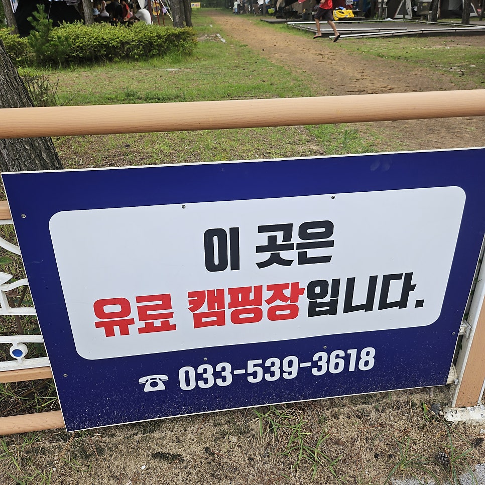 망상제2오토캠핑장 사진 2