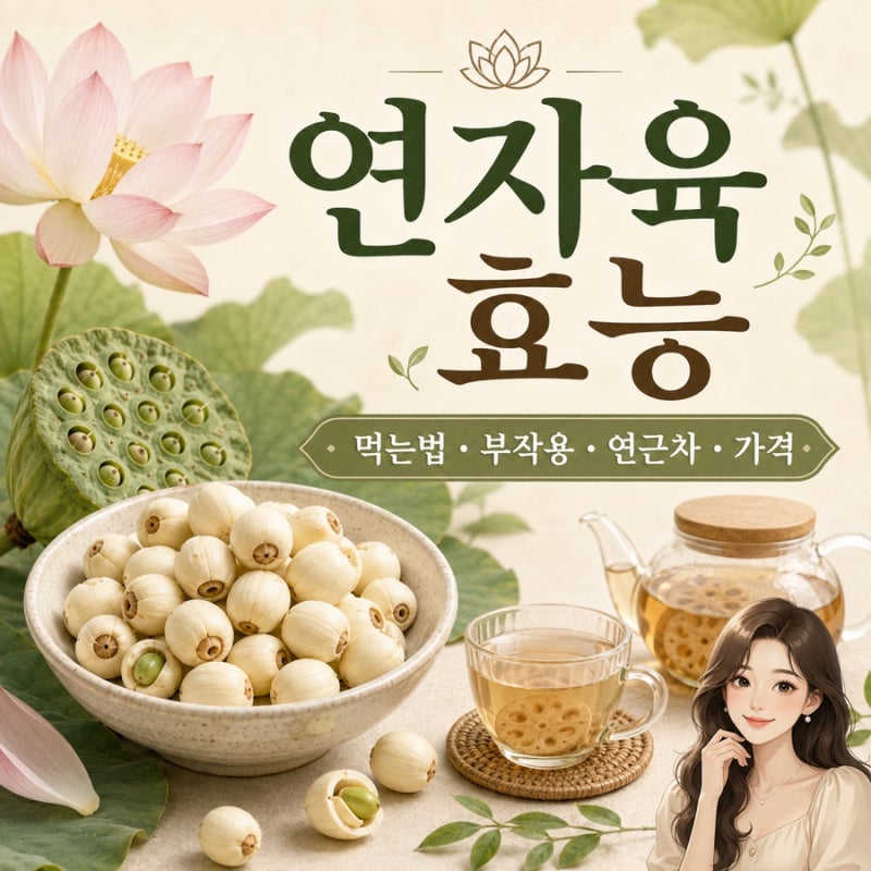 연자육효능, 먹는법부터 부작용·연근차 차이·가격까지
