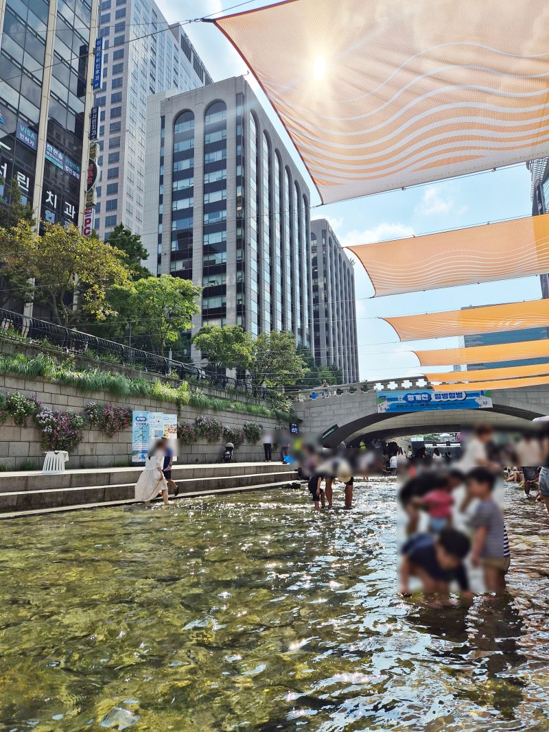Cheonggyecheon Splish-Splash Festival: Location, Parking, and Review Summary