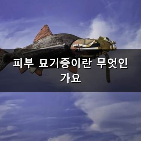 피부 묘기증 긁힌 자리가 부어오르는 이유와 대처법