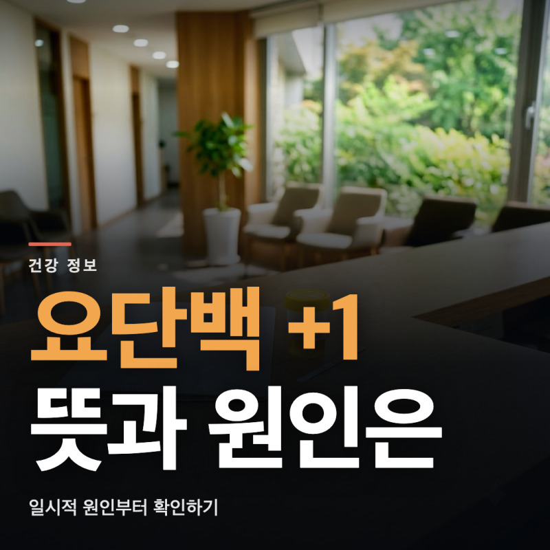 요단백 +1 뜻은? 원인과 재검사 기준까지 확인