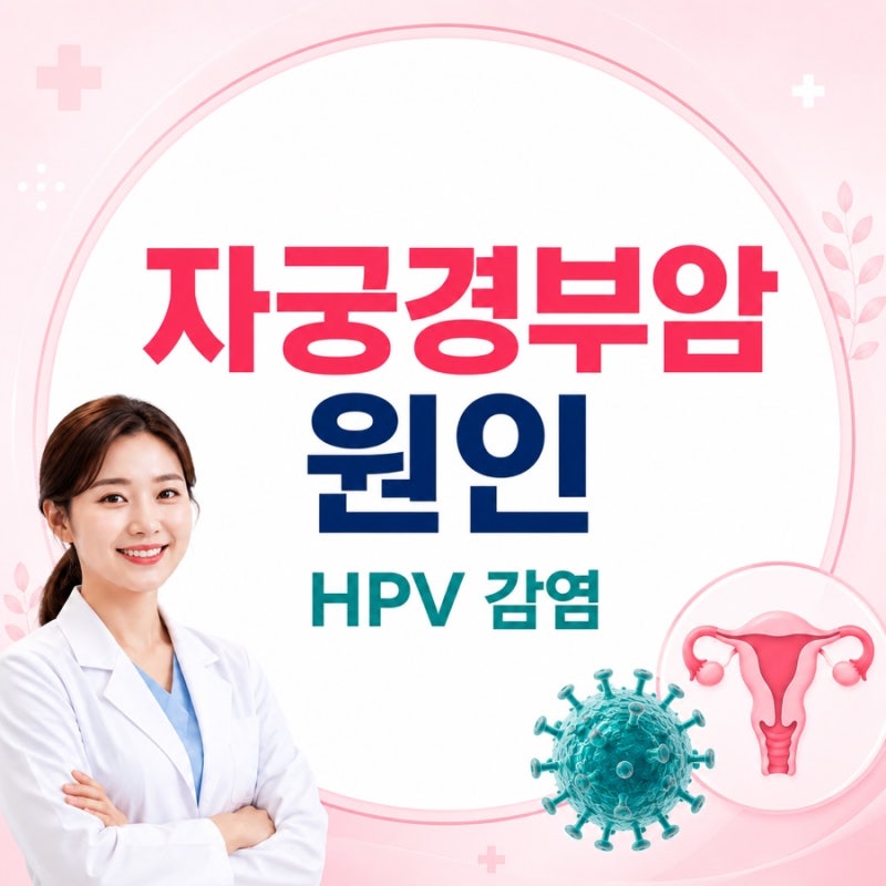 자궁경부암 원인, HPV 감염은 왜 생길까? 감염 경로와 지속되는 이유