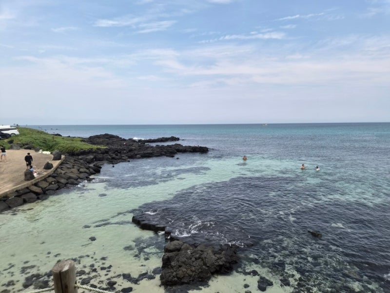 제주도 돌고래 스팟 서쪽 애월·협재 여행 중 만난 돌고래 가족들