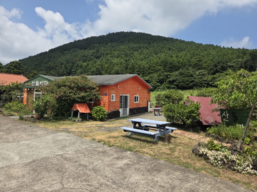 산들 사진 4